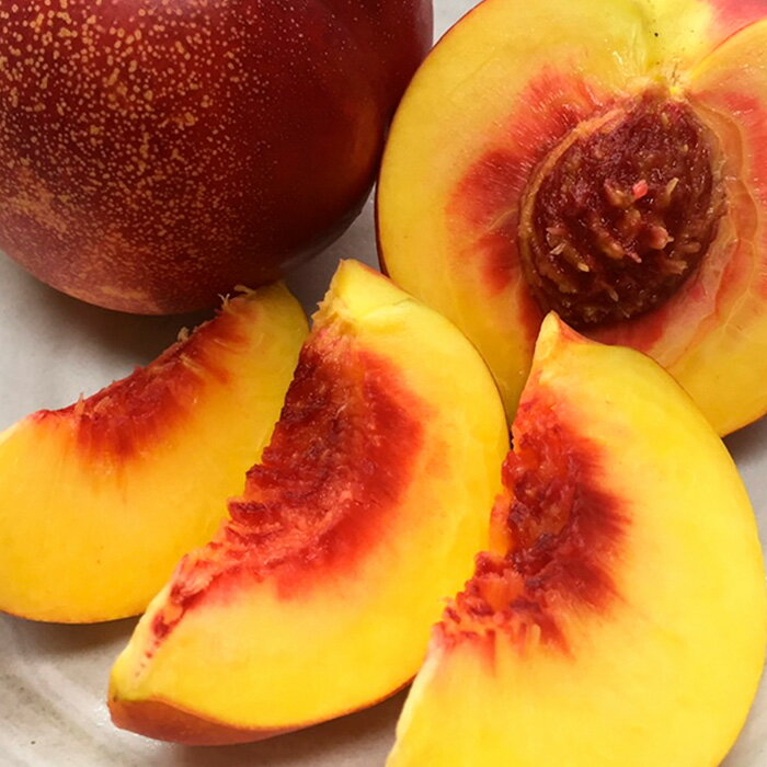 【ふるさと納税】山形のネクタリン(スイートビーナス)約2kg 【令和8年産先行予約】FS24-568 くだもの 果物 フルーツ 山形 山形県 山形市 お取り寄せ 2026年産