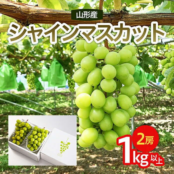 【ふるさと納税】 山形市産 シャインマスカット 秀 1kg以上(2房)[前半] 【令和6年産先行予約】FU22-083 フルーツ くだもの 果物 お取り寄せ 先行予約 1万円 1万 10000円