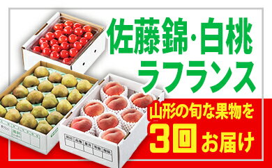 【ふるさと納税】 【定期便3回】☆フルーツ王国山形☆佐藤錦・白桃・ラフランス FS22-755 さくらんぼ 桃 もも 洋梨 ラ・フランス 果物 くだもの フルーツ 洋なし