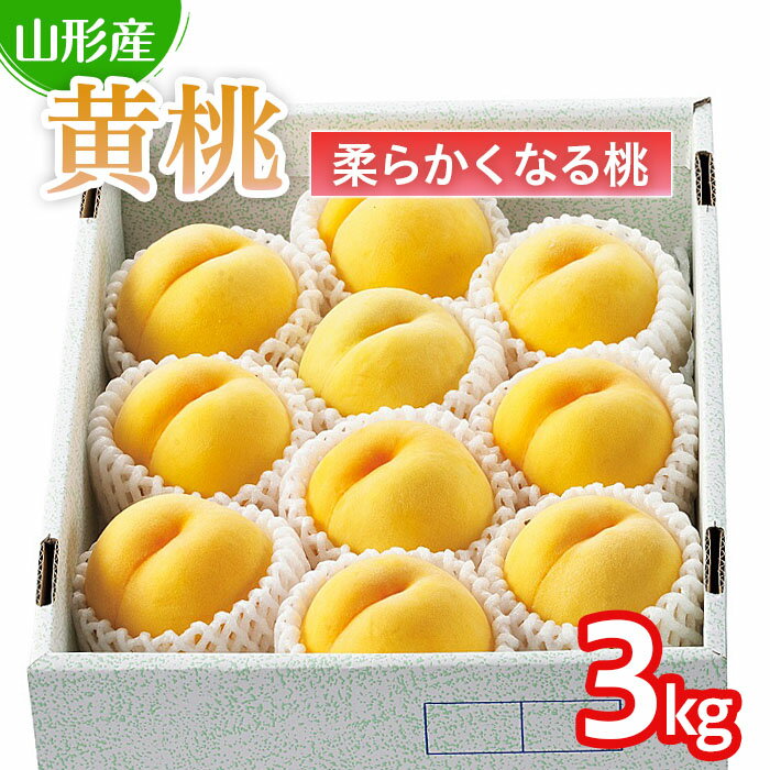 【ふるさと納税】 山形の桃(黄桃) 3kg(6～12玉)(品