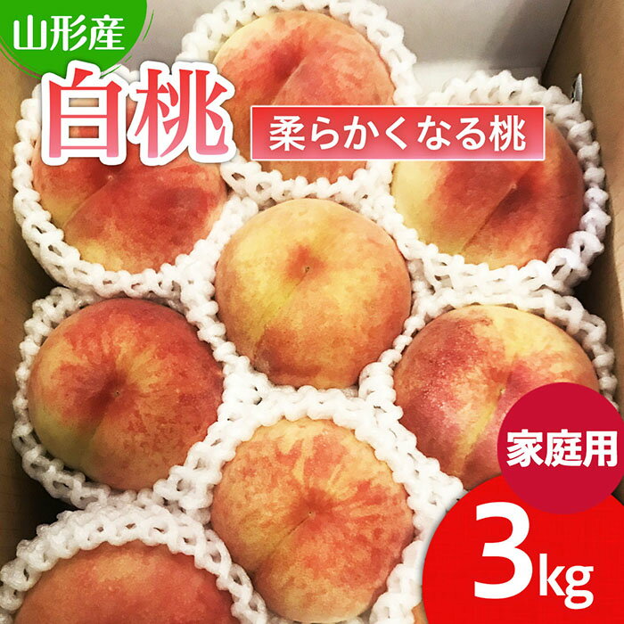 【ふるさと納税】 【ご家庭用】山形の桃(白桃) 3kg(6～12玉) 9月発送 (品種おまかせ)[柔らかくなる桃] 【令和6年産先行予約】FU22-782 フルーツ くだもの 果物 お取り寄せ 先行予約 訳あり