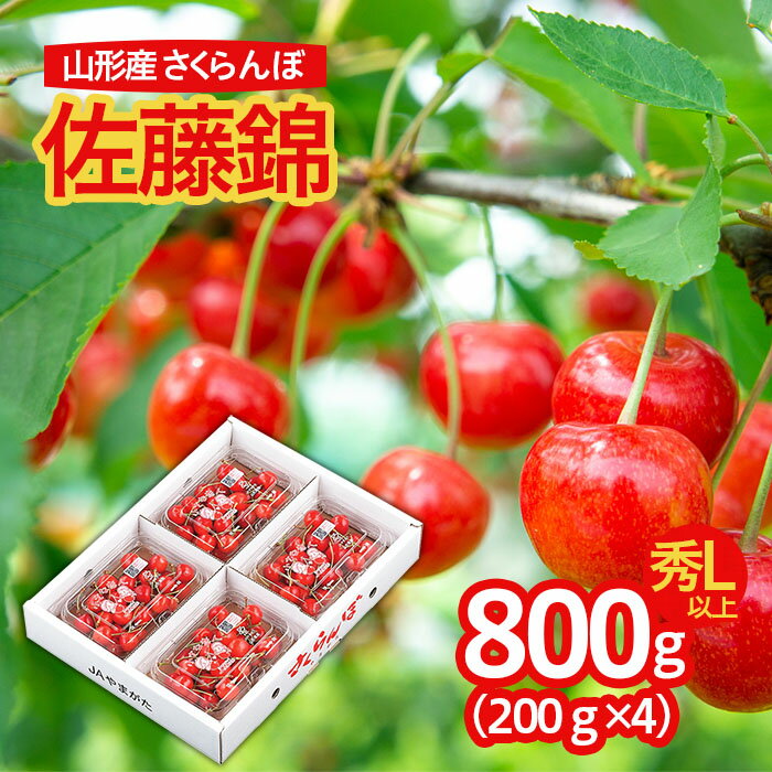 ڤդ뤵ǼǡۻԻ  ƣ Lʾ 800g(200g4ѥå)Хͤ 6ǯͽFS23-903 ե롼...