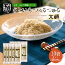 29位! 口コミ数「0件」評価「0」さといも入り乾麺シリーズ さといもつゅるつゅる[太麺] 180g×10袋セット FZ23-931