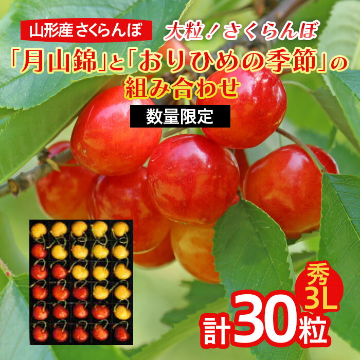 大粒!さくらんぼ 「月山錦」と「おりひめの季節」の組み合わせ 3L 30粒[数量限定] FY22-238