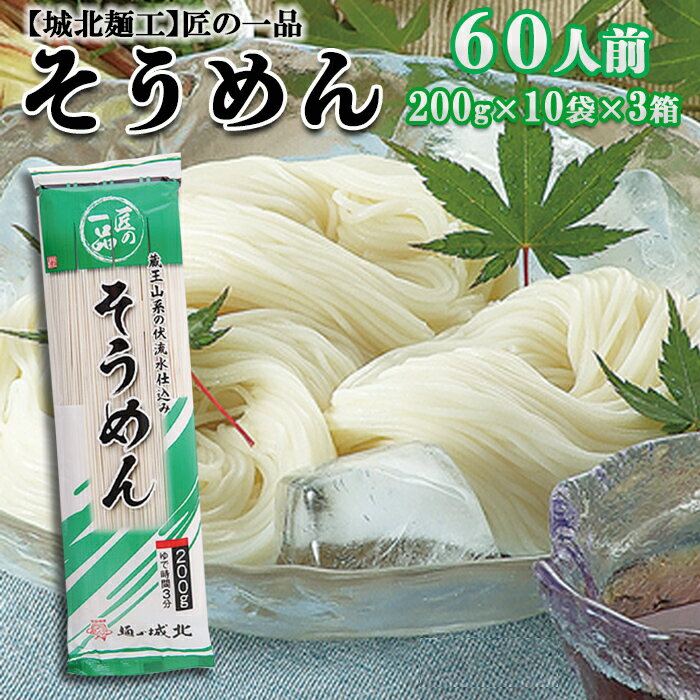 【ふるさと納税】【城北麺工】夏季限定！匠の一品 そうめん 60人前 FZ22-329