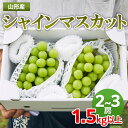 【ふるさと納税】山形市産 シャインマスカット 秀1.5kg以上(2～3房) fz