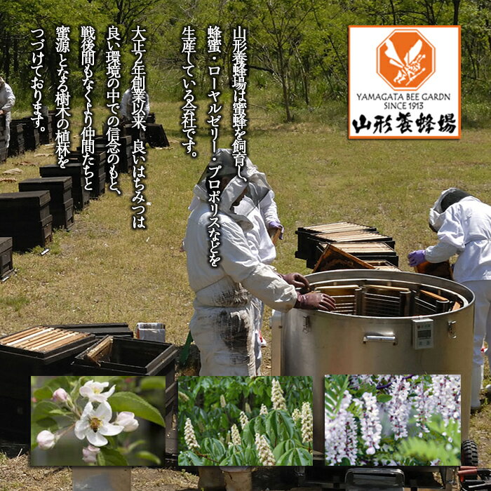 【ふるさと納税】【純粋蜂蜜】 栃の木蜜 2400g FY22-341 はちみつ ハチミツ 蜂蜜 国産