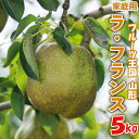 【ふるさと納税】☆フルーツ王国山形☆【家庭用】ラ・フランス 5kg FY25-888
