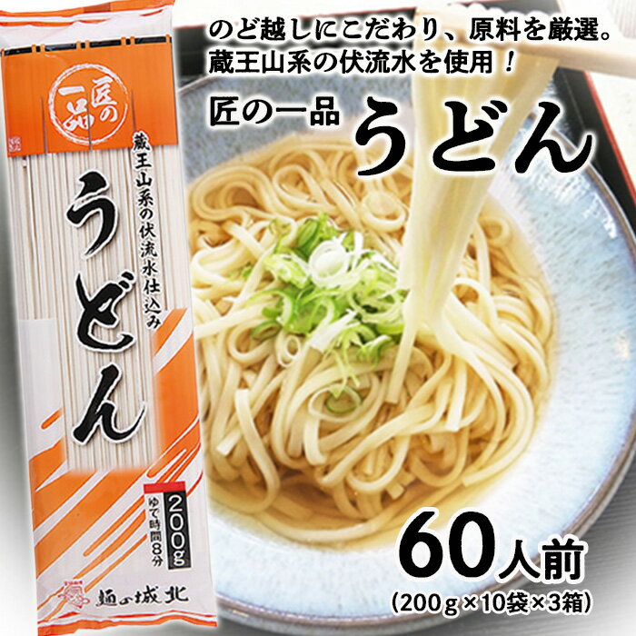 【城北麺工】匠の一品 うどん 30袋 ( 60人前 ) FZ22-429 うどん 乾麺 大容量