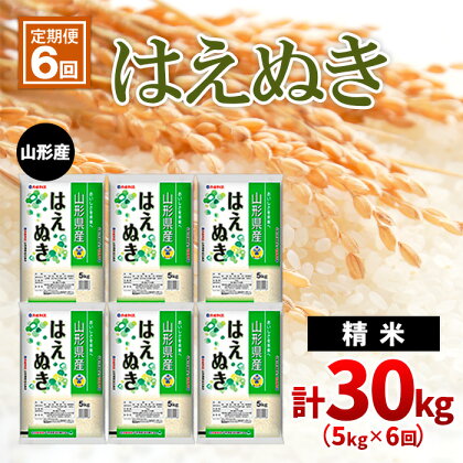 【定期便6回】山形産はえぬき 精米5kg×6ヶ月(頒布会)計30kg fz22-020 山形 お取り寄せ 送料無料 ブランド米 山形市 山形県