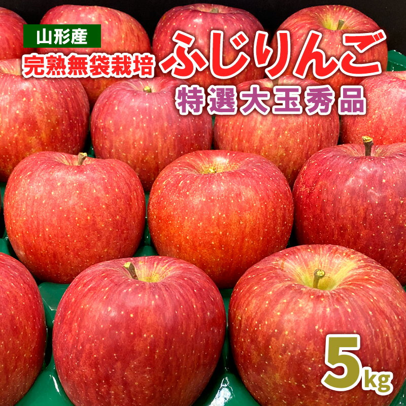 完熟無袋栽培ふじりんご 特選大玉秀品5kg入り リンゴ 林檎 フルーツ 果物 お取り寄せ 送料無料 FY25-900