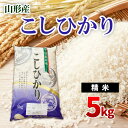 商品説明 名称 精米 産地 山形産 品種 コシヒカリ 使用割合 単一原料米 内容量 5kg 精米年月日 別途商品ラベルに記載 保存方法 常温保存 提供元 小嶋商事株式会社 山形で育った大粒で粘りと旨みが強く、味・香り・歯ごたえなど常に上位の食味となる人気の銘柄のお米です。 旨みと粘りが強く、ふっくらとした炊きあがりが特徴です。 ※10月頃から順次新米に切り替わります(新米のご指定はいたしかねます) 事業者：小嶋商事株式会社 ◆必ずお読みください◆ ◎お受取り後は必ずすぐに開封し、中身のご確認をお願い致します。 ◎「お申し込みの不備」「事前連絡をいただいていない長期不在や転居」「住所不明」「日数が経ってからのお受取り」に対する再出荷は致しかねますのでご了承ください。 ※お礼の品の配送日の指定は承っておりません。 ※天候や収穫状況により、お届けや規格が変更になる場合がございます。 ※画像はイメージです。画像のものと多少異なる場合があります。 ※商品お受取り後、すぐに商品の状態をご確認ください。お礼の品の発送には万全を期しておりますが、万が一外装破損、異物、汚れ等があった場合は、写真・画像を添付の上お早めに「山形市ふるさと納税お礼の品事務局」までご連絡ください。尚、お時間が過ぎてからの対応は致しかねます。 ・ふるさと納税よくある質問はこちら ・寄附申込みのキャンセル、返礼品の変更・返品はできません。あらかじめご了承ください。「ふるさと納税」寄附金は、下記の事業を推進する資金として活用してまいります。 寄附を希望される皆さまの想いでお選びください。 1　市政一般 2　健康の保持・増進 3　健やかな子どもの育成 4　地域共生社会の実現 5　創造都市の推進 6　地域経済の活性化 7　山形ブランドの浸透と交流拡大 8　都市の活動を支える基盤整備 9　環境保全 10　チャレンジ環境の創出等 入金確認後、注文内容確認画面の【注文者情報】に記載の住所にお送りいたします。 発送の時期は、寄附確認後2週間程度で、お礼の品とは別にお送りいたします。