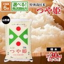 【ふるさと納税】★高評価★【定期便6回】令和5年産 山形産 特別栽培米 つや姫 5kg×6ヶ月(計3