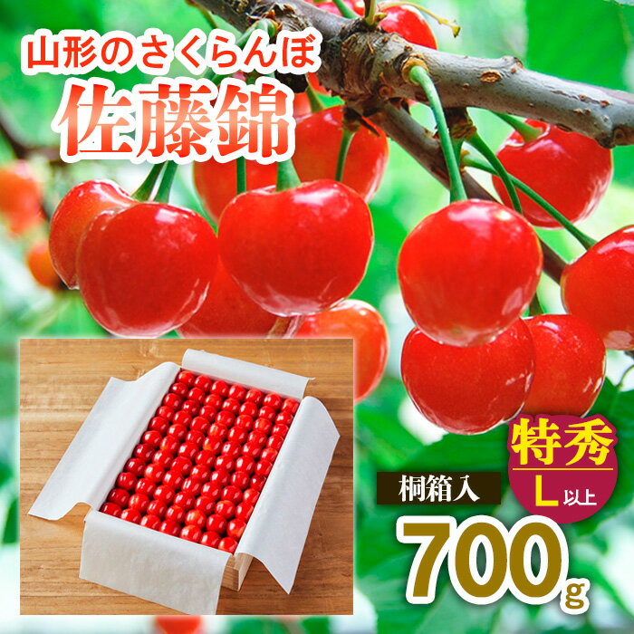 【ふるさと納税】【最高級】山形のさくらんぼ 佐藤錦 700g 特秀品 L以上 桐箱入 【令和6年産先行予約...