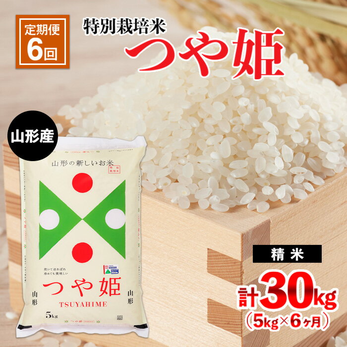 高評価★4.9[定期便6回]山形産 特別栽培米 つや姫 5kg×6ヶ月(計30kg)