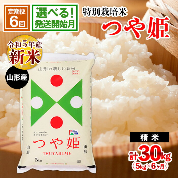 【ふるさと納税】★高評価★【定期便6回】令和5年産 山形産 特別栽培米 つや姫 5kg×6ヶ月(計30kg) Fz21-332 山形 お取り寄せ 送料無料 発送時期 選べる 配送月 発送時期が選べる