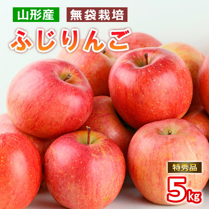 【ふるさと納税】山形産 無袋栽培 ふじりんご 特秀 5kg 