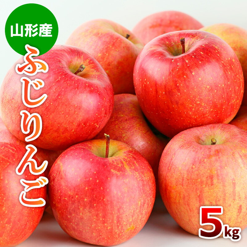 【ふるさと納税】山形市産 ふじりんご 5kg(18〜20玉) fz19-428 リンゴ 林檎 フルーツ 果物 お取り寄せ 送料無料