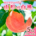 【ふるさと納税】山形の白桃 5kg(10~16玉)Bコース(