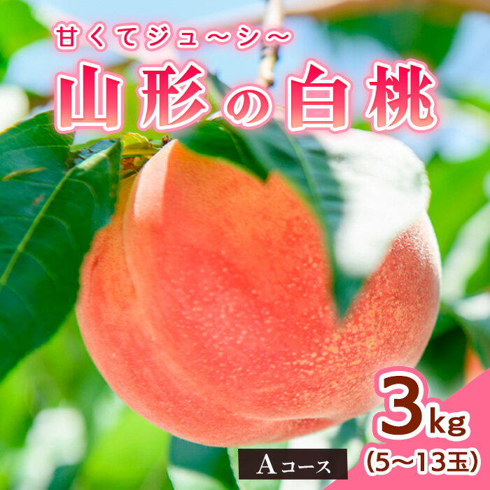 【ふるさと納税】山形の白桃3kg(5～13玉)Aコース[柔らかくなる品種] 【令和6年産先行予約】FU18-894 ...