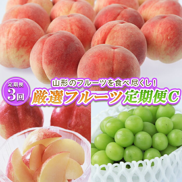 【ふるさと納税】【定期便3回】山形のフルーツを食べ尽くし!厳選フルーツ定期便C 【令和7年産先行予約】FS24-541 くだもの 果物 フルーツ 山形 山形県 山形市 お取り寄せ 2025年産