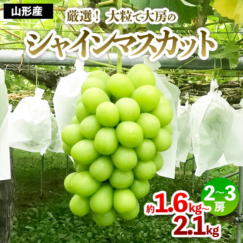 楽天市場】シャインマスカット 秀品の通販 楽天市場】シャインマスカット 秀品の通販
