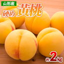 【ふるさと納税】山形産 硬め 黄桃 約2kg(4〜9玉) 【令和7年産先行予約】FS24-707(4)
