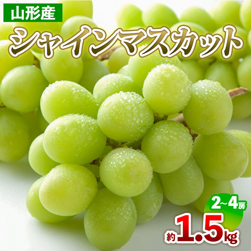 【ふるさと納税】山形産 シャインマスカット 約1.5kg(2〜4房) 【令和7年産先行予約】FS24-709