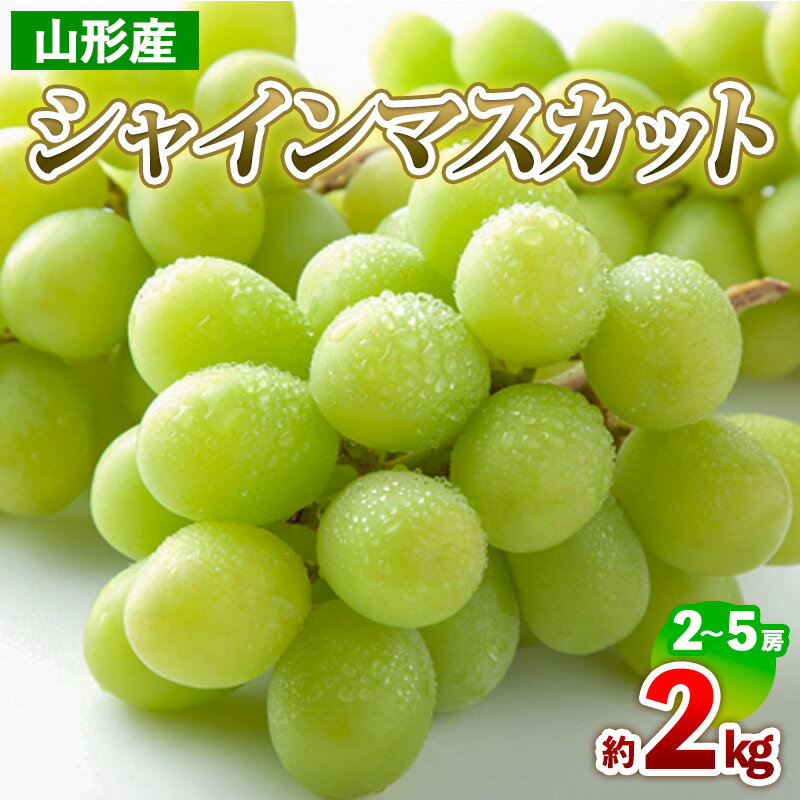【ふるさと納税】山形産 シャインマスカット 約2kg(2~5房) 【令和7年産先行予約】FS24-710
