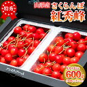 【ふるさと納税】2026年産 さくらんぼ 「紅秀峰」 600g 特秀品 Lサイズ以上 山形産 【令和8年産先行予約】FS24-745