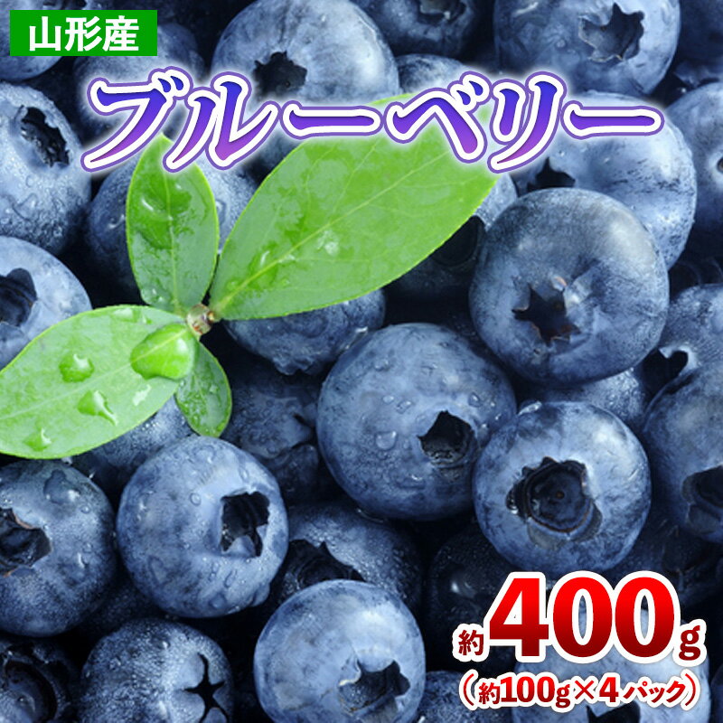 【ふるさと納税】山形産 ブルーベリー 約400g(約100g×4パック) 【令和7年産先行予約】FS24-787