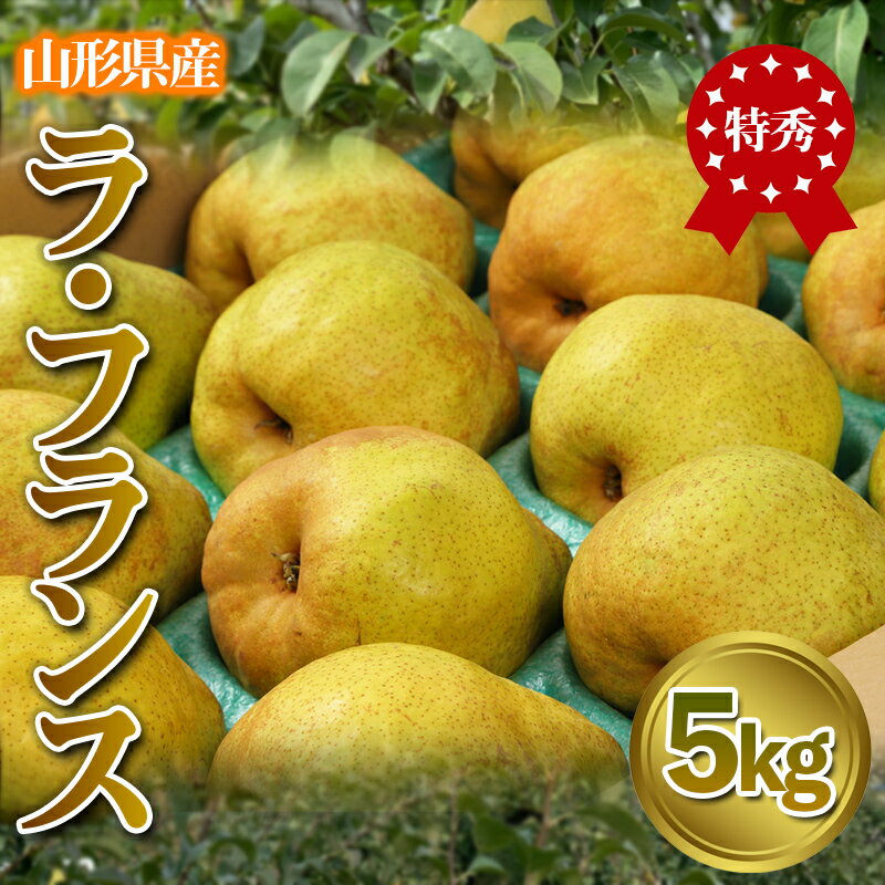 【ふるさと納税】★食べ頃出荷★山形県産 「ラ・フランス」 特秀品 5kg (12〜20玉) 洋梨 ラフランス 山形 【令和7年産先行予約】FS24-819