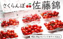【ふるさと納税】FY18-827【先行予約】さくらんぼ(佐藤...