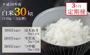 【ふるさと納税】FY19-005 【定期便3回】山形産のお米...