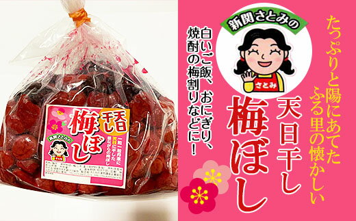 【ふるさと納税】たっぷりと陽にあてた ふる里の懐かしい「天日干し梅ぼし」1.2kg fz23-212 梅干 梅干し 手作り 1