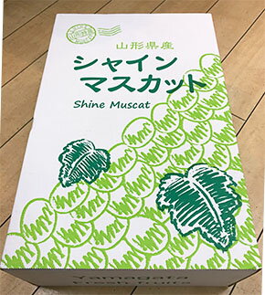 【ふるさと納税】【ご家庭用】シャインマスカット 約2kg 1箱【令和6年産先行予約】FU21-645 フルーツ くだもの 果物 お取り寄せ 先行予約