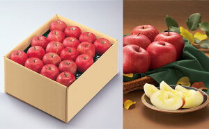 【ふるさと納税】山形市産 ふじりんご 5kg(18～20玉) fz19-428 リンゴ 林檎 フルーツ 果物 お取り寄せ 送料無料