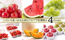 【ふるさと納税】FY19-610...