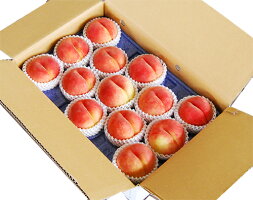 【ふるさと納税】FY18-896【令和2年産先行予約】やまがたの白桃4kg(13〜20玉)Aコース