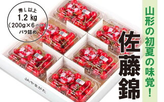 【ふるさと納税】FY18-240【令和2年産先行予約】山形市産「佐藤錦」秀L以上200グラム×6パックバラ詰め