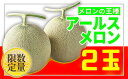 【ふるさと納税】FY19-669【令和2年産先行予約】★フルーツ王国山形★メロン秀品2玉