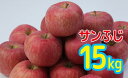 【ふるさと納税】FY19-008 【家庭用】山形産りんご(サ...