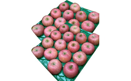 山形のサンふじりんご 約10kg 秀品(24～40玉) fz19-140 リンゴ 林檎 フルーツ 果物 お取り寄せ 送料無料