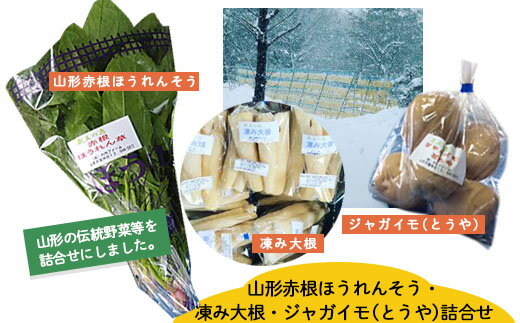 [令和7年発送予約] 山形赤根ほうれんそう・凍み大根・ジャガイモ(とうや)詰合せ[障がい者支援] fz19-522