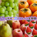 10位! 口コミ数「0件」評価「0」【定期便5回】山形市☆冬のフルーツ定期便 【令和6年産先行予約】FS21-240 フルーツ くだもの 果物 山形 山形県 ぶどう 葡萄 ブド･･･ 