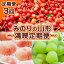 【ふるさと納税】【定期便3回】みのりの山形～満喫定期便～ 【令和6年産先行予約】FS23-705 山形 山形県 山形市 フルーツ 果物 くだもの 送料無料 さくらんぼ サクランボ 佐藤錦 桃 もも モモ 白桃 3kg ぶどう 葡萄 ブドウ シャインマスカット 1.2kg
