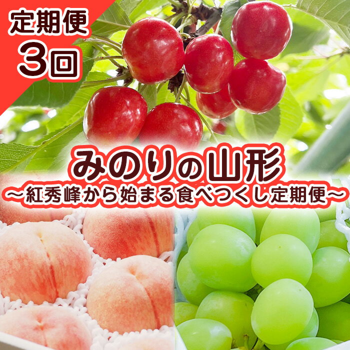 【定期便3回】みのりの山形～紅秀峰から始まる食べつくし定期便～ 【令和6年産先行予約】FS23-707 山形 山形県 山形市 フルーツ 果物 くだもの 送料無料 さくらんぼ サクランボ 紅秀峰 桃 もも モモ 白桃 ぶどう 葡萄 ブドウ シャインマスカット