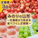 【ふるさと納税】【定期便3回】みのりの山形～佐藤錦から始まる食べつくし定期便～ 【令和6年産先行予約】FU23-708 山形 山形県 山形市 フルーツ 果物 くだもの 送料無料 さくらんぼ サクランボ 佐藤錦 桃 もも モモ 白桃 ぶどう 葡萄 ブドウ シャインマスカット