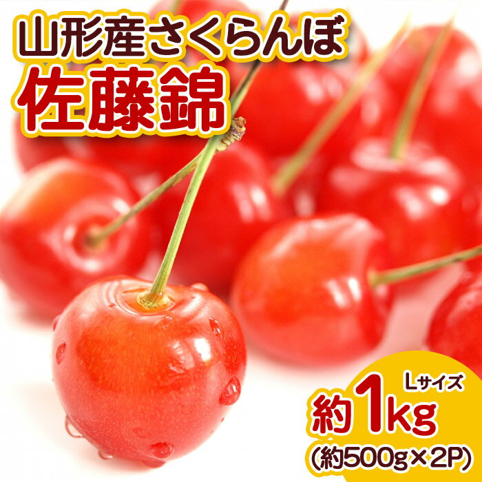 【ふるさと納税】山形産 さくらんぼ 佐藤錦 Lサイズ 約1kg 【令和7年産先行予約】FS23-710くだもの 果物 フルーツ 山形 山形県 山形市 お取り寄せ 2025年産のサムネイル
