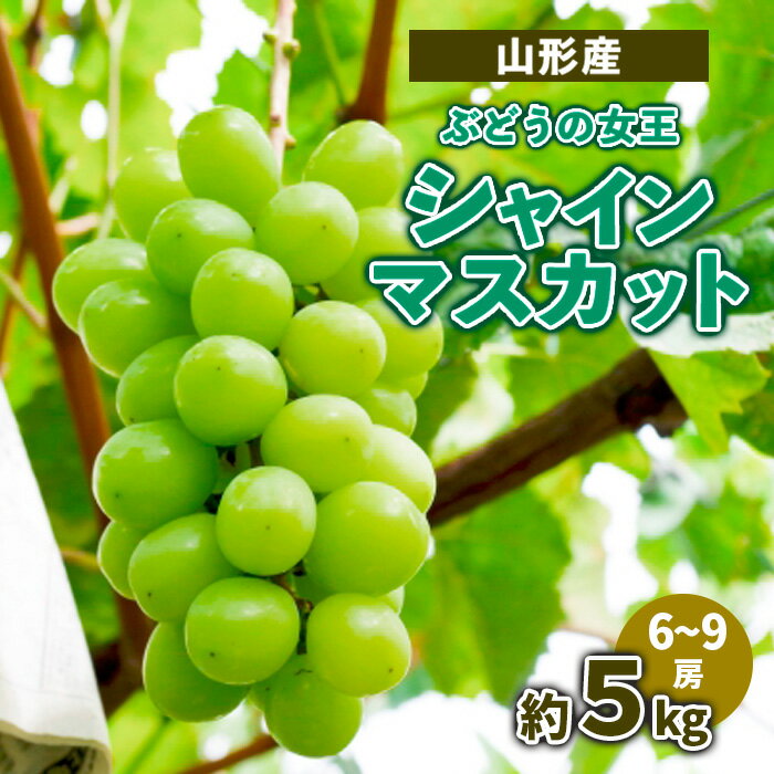 【ふるさと納税】山形産ぶどうの女王 シャインマスカット　約5kg　（6～9房） 【令和6年産先行予約】FS23-716 山形 山形県 山形市 フルーツ 果物 くだもの 送料無料 ぶどう 葡萄 ブドウ